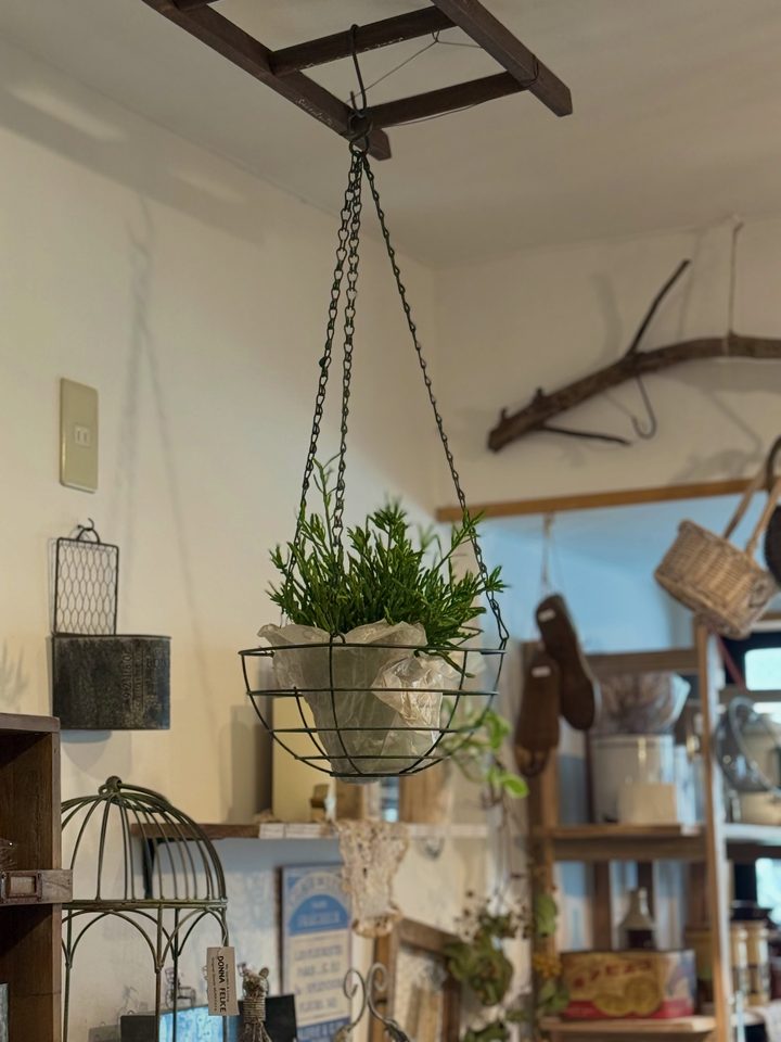 アイアンの什器や小物が店内に並んでいる