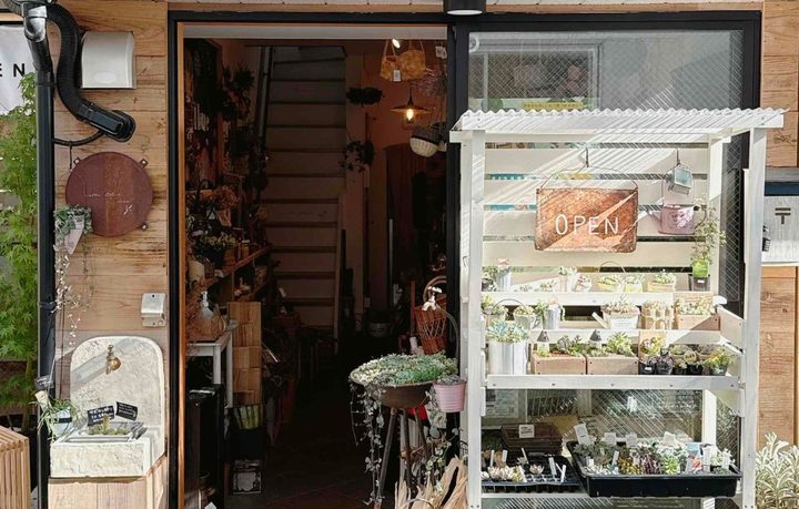 学芸大学の住宅街にある店の入口。白い格子の棚に多肉の鉢が並んでいる